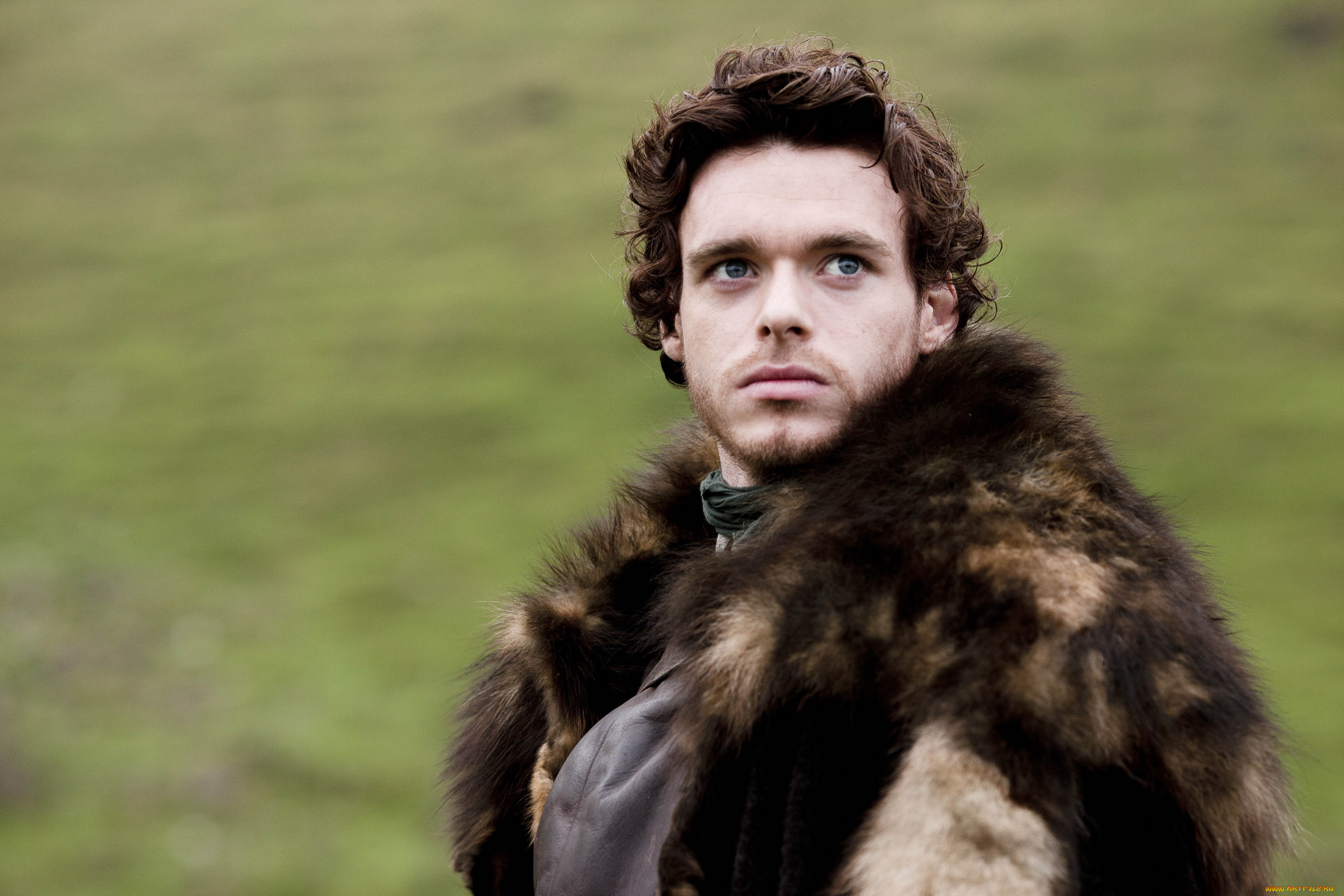  , game of thrones , , robb, stark
